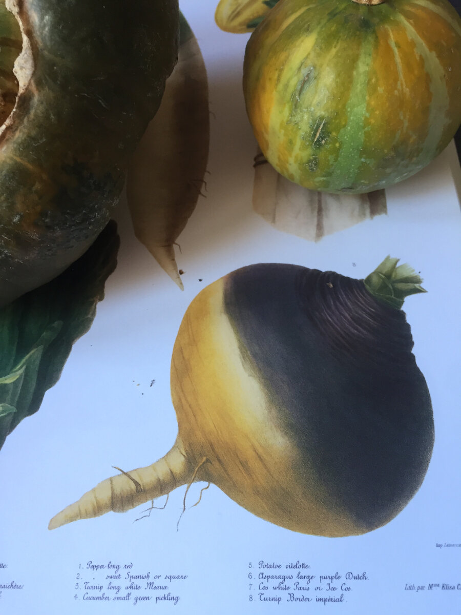 Less: FODMAPS, CARBS and Salicylate, Amine and Glutamates (S.A.G's) for a happie