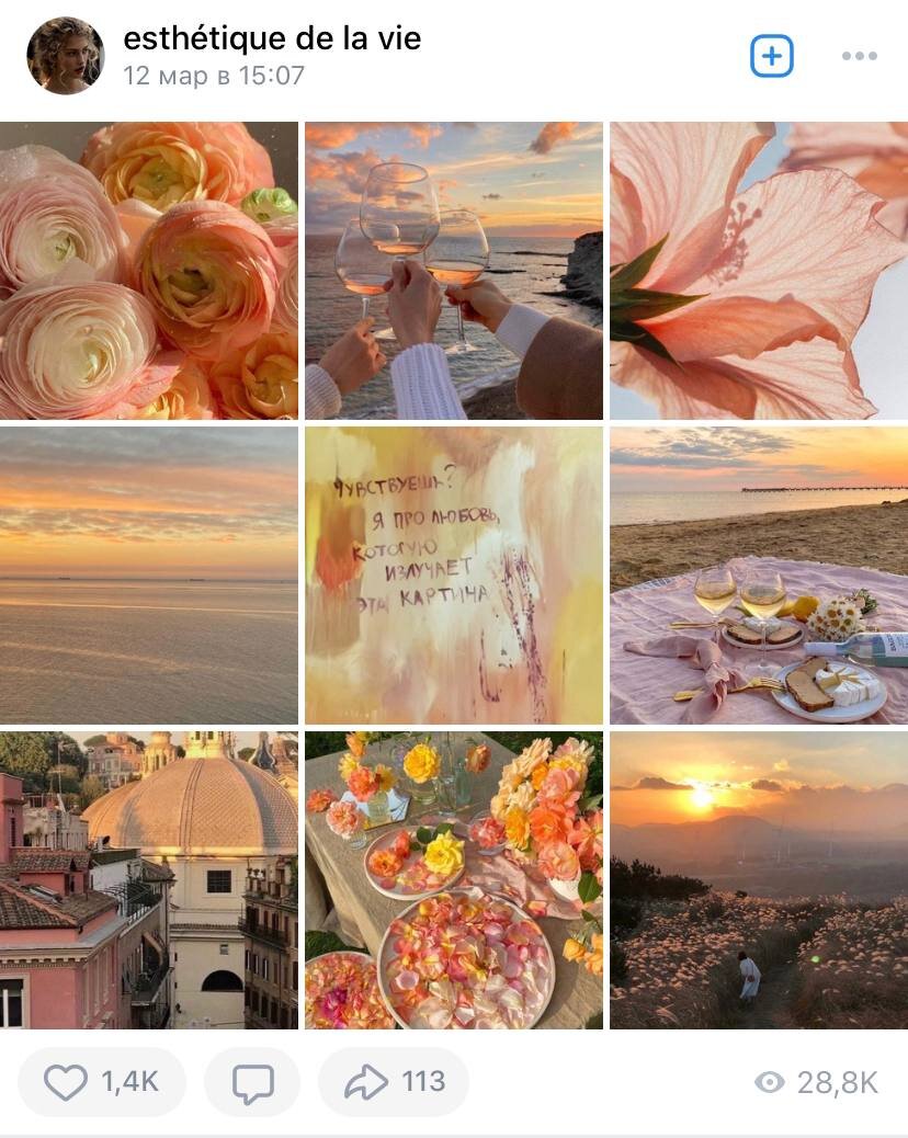 3. Цветочный магазин. Пост про выбор цвета цветов и мечты о лете.