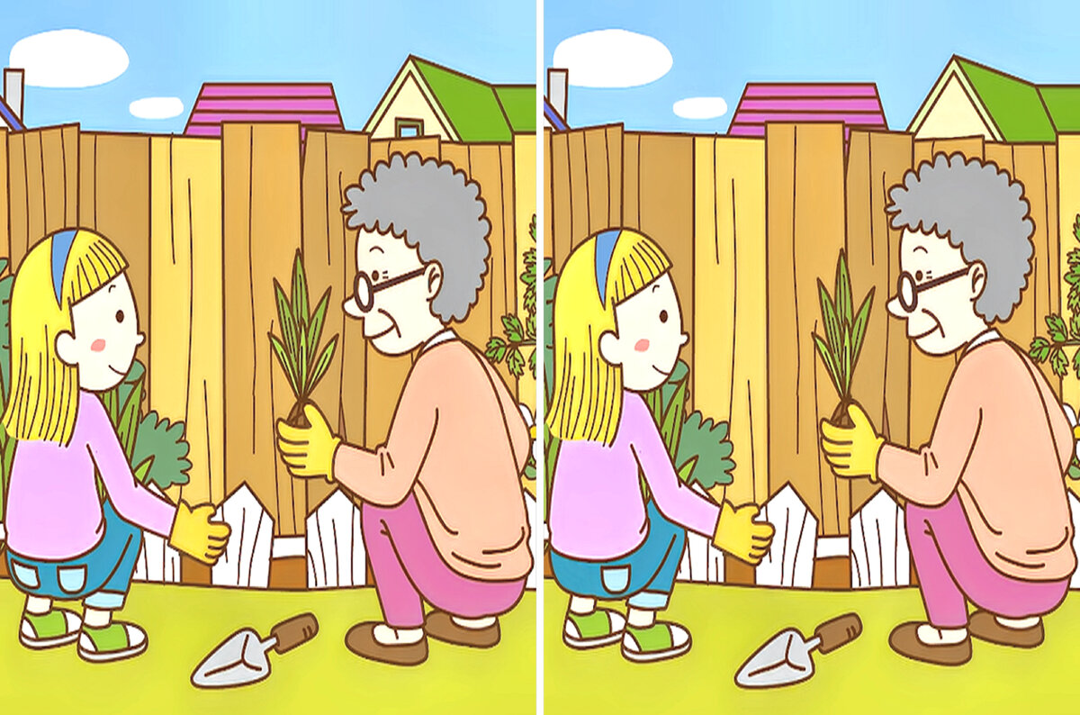 3 отличия