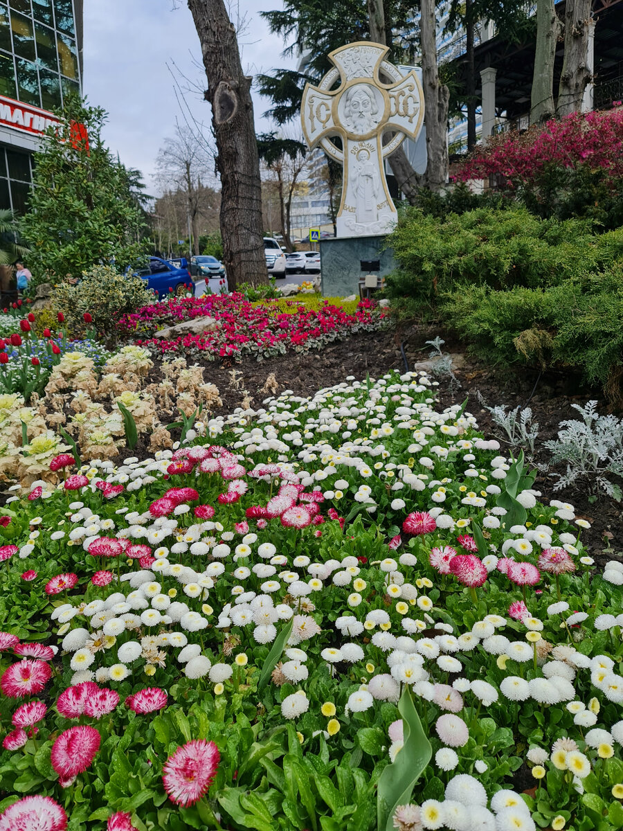 Сочи. Курортный проспект