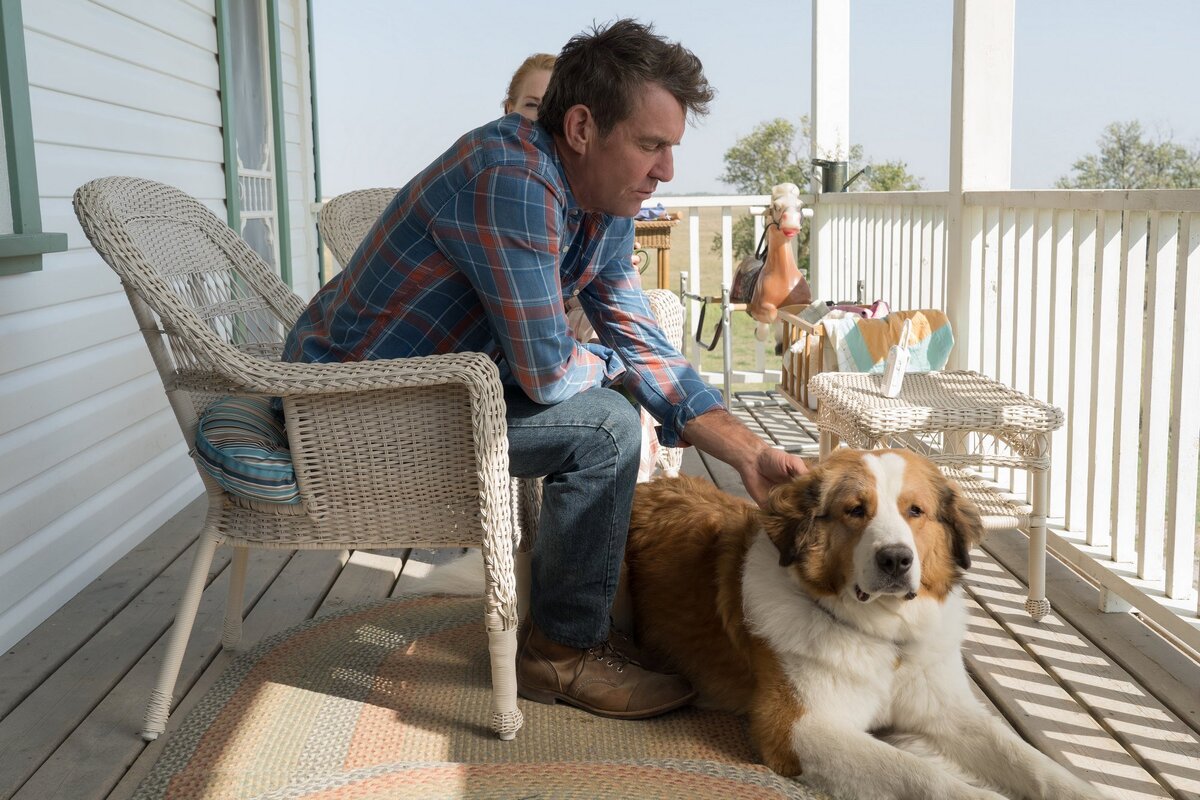 Кадр из фильма "Собачья жизнь".