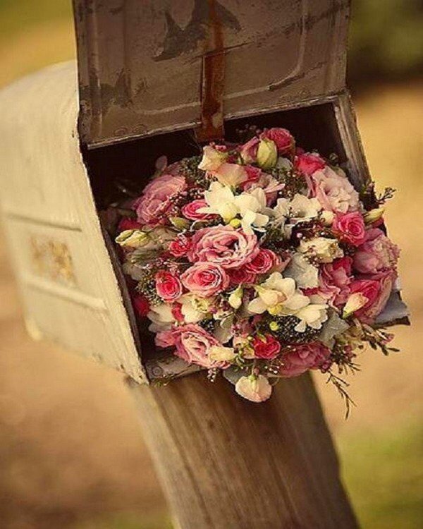 Цветы для всех наших читателей и поздравления с праздником. Фото Яндекс.Картинки.