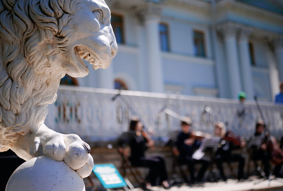 Знаменитые львы Санкт-Петербурга. Правда ли, что здесь 