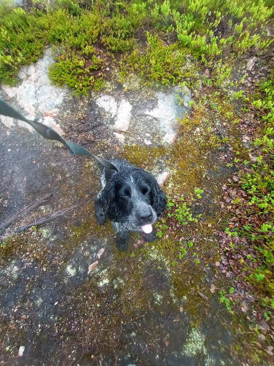 Живи с улыбкой