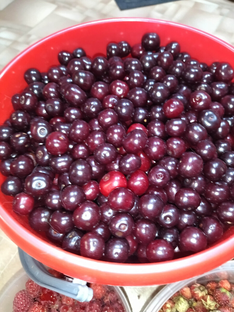 Ведерко ягодного счастья