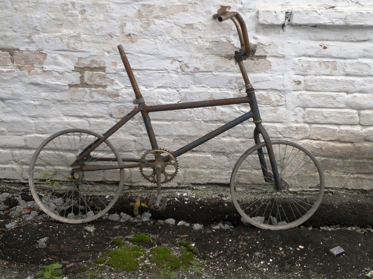 Напоминает молодого оленёнка, или конька-горбунка.Фото автора