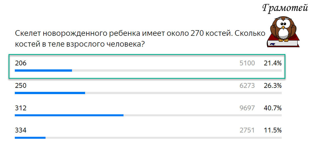 В теле взрослого человека 206 костей. Фото автора 