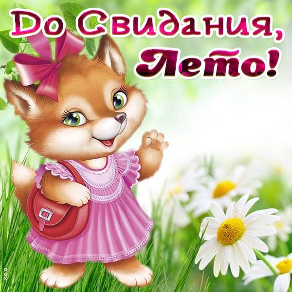 Фото из интернета 