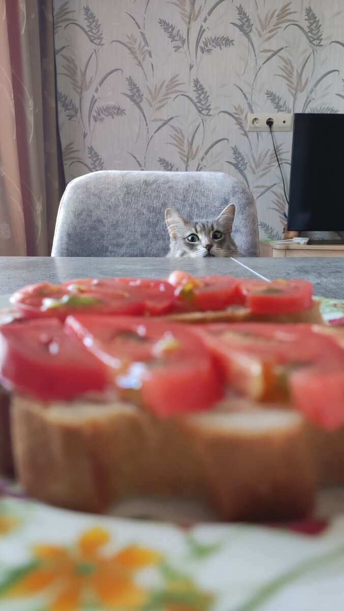 Кошь и бутер