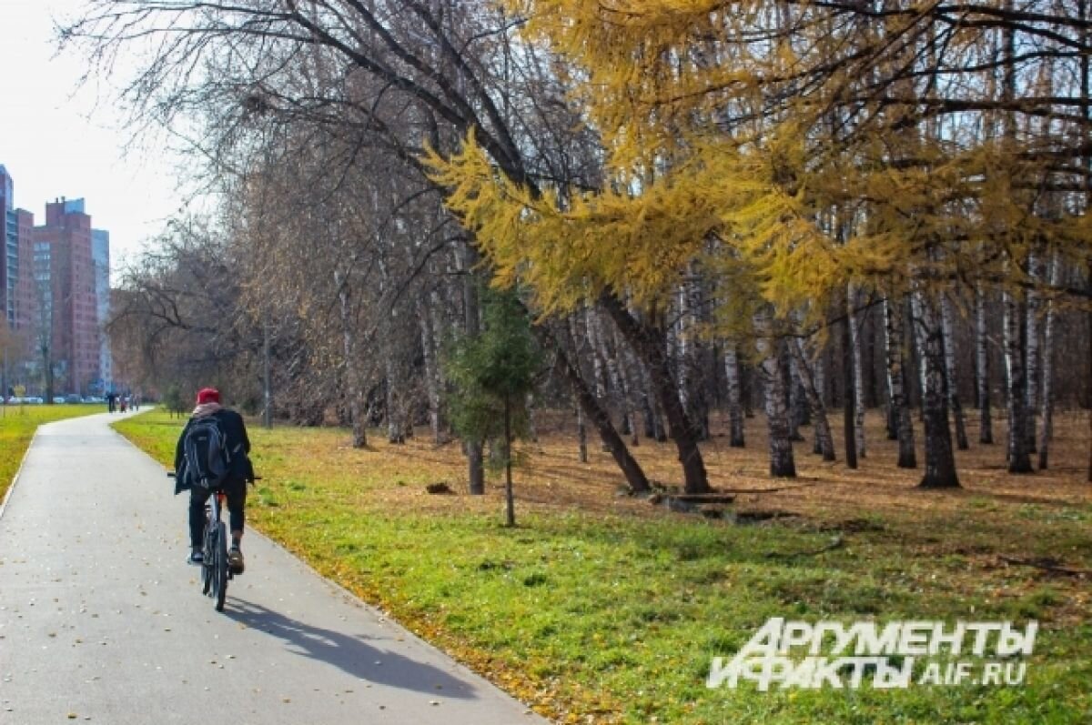    Синоптики затруднились назвать дату бабьего лета в Новосибирске