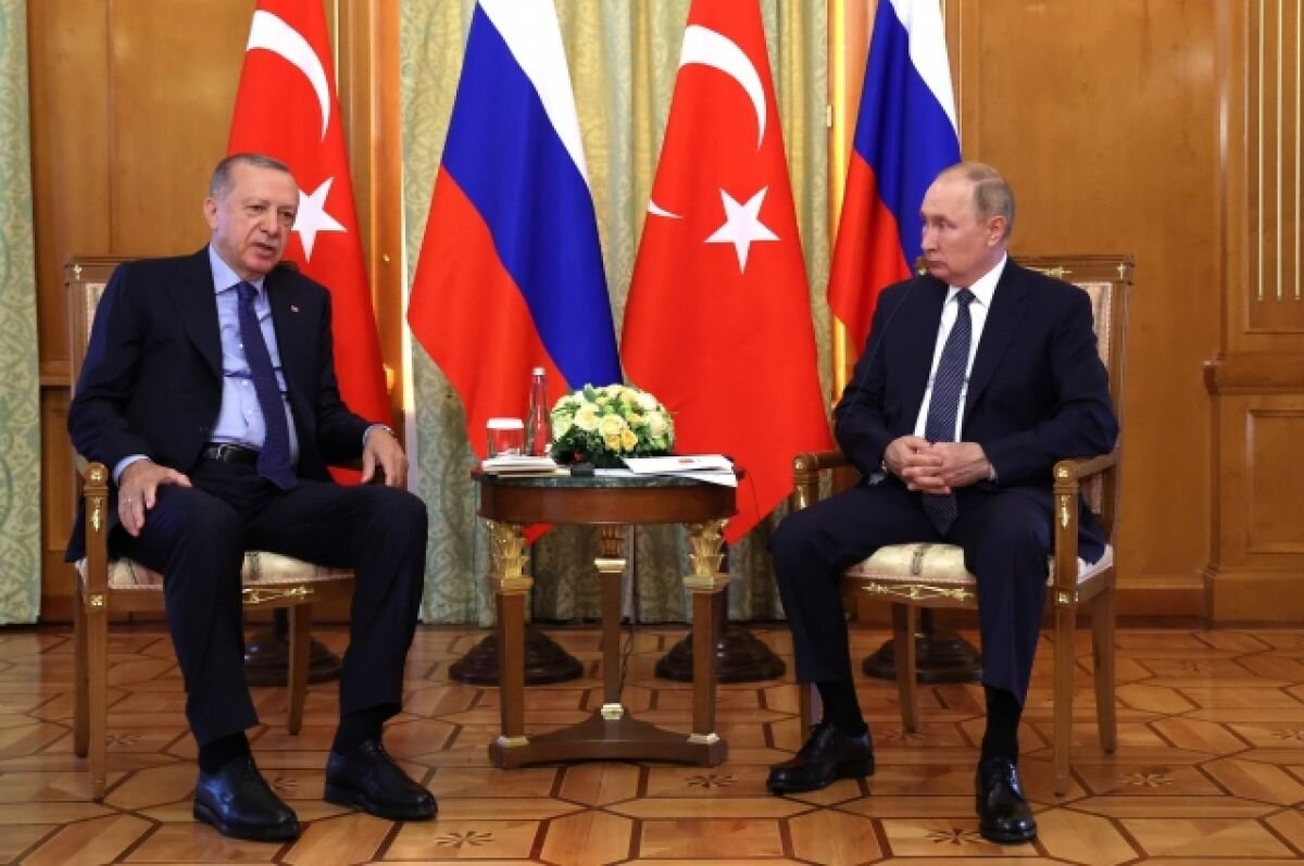    Эрдоган сообщил о разговоре с Путиным по поводу цен на газ