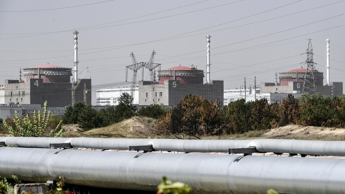    Запорожская АЭС в Энергодаре© РИА Новости / Константин Михальчевский