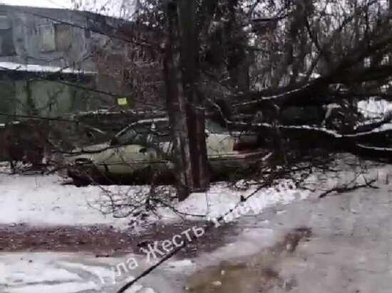     фото: Кадр из видео паблика "Тула Жесть" ВКонтакте