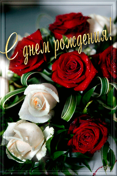Красивые живые открытки с днем рождения