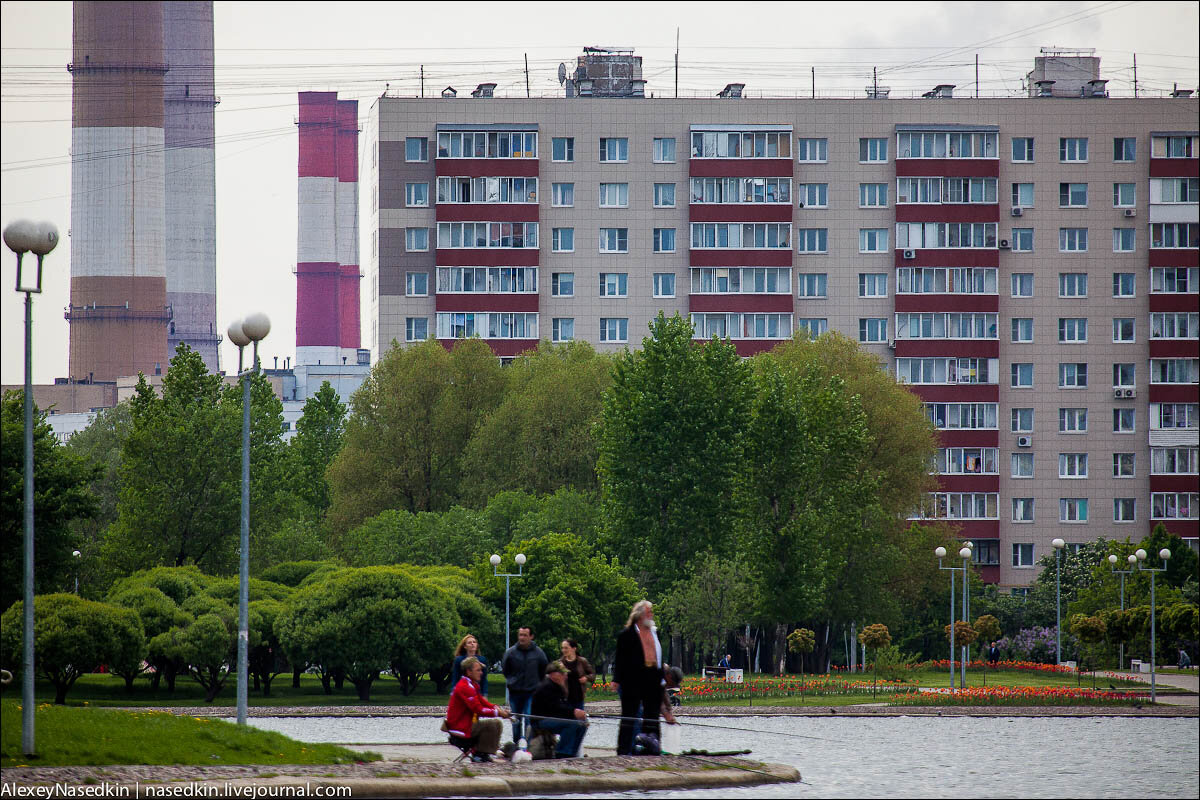 Гольяново. Мекка для фанатов экстремального туризма | Мысли циничного  москвича | Дзен