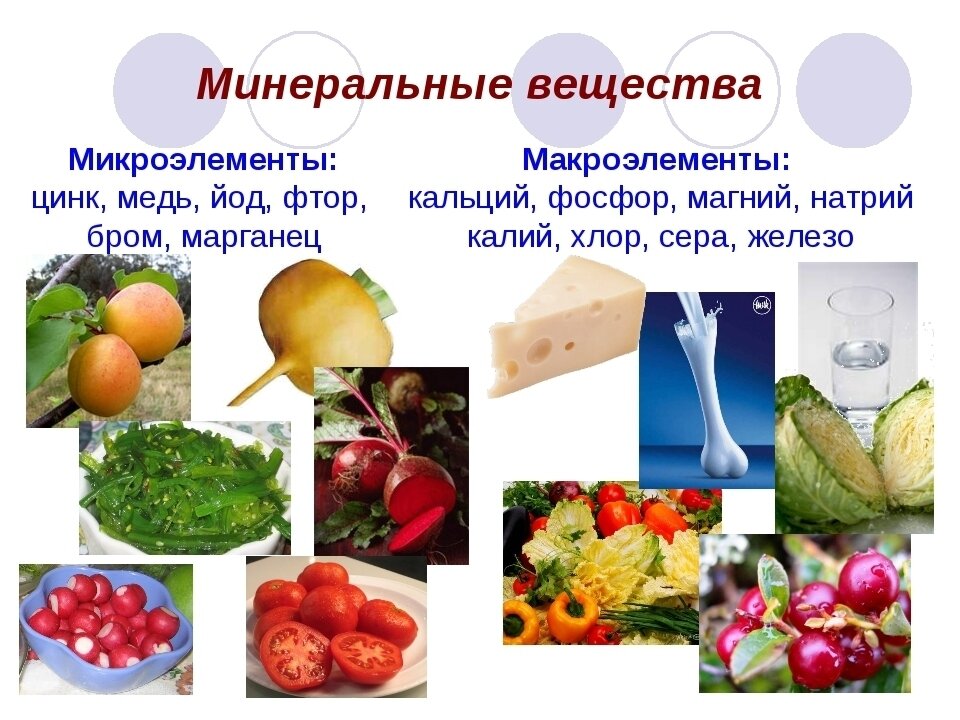 Веществ и микроэлементов в продуктах