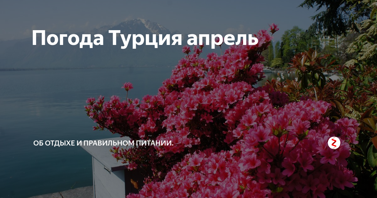 Турция в апреле туры