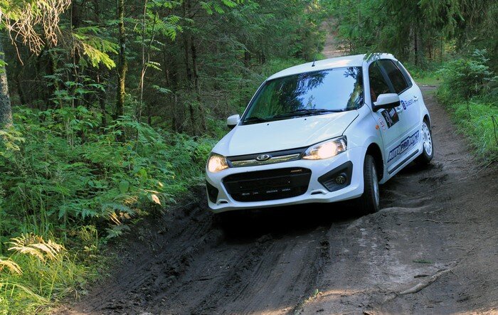 Комплект задних подкрылков TOTEM для Lada Калина (2004-2013) № 004600