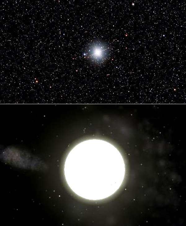 Ахернар звезда. Procyon звезда. Звезда Ван Маанена белый карлик. Звезды Сириус и Процион. Процион двойная звезда.