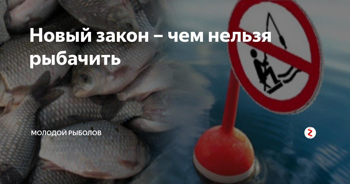 Запрет вылова великобритании. Нельзя ловить рыбу. Чем нельзя ловить рыбу. Почему запрещено ловить рыбу. Ловля рыбы запрещена ф.