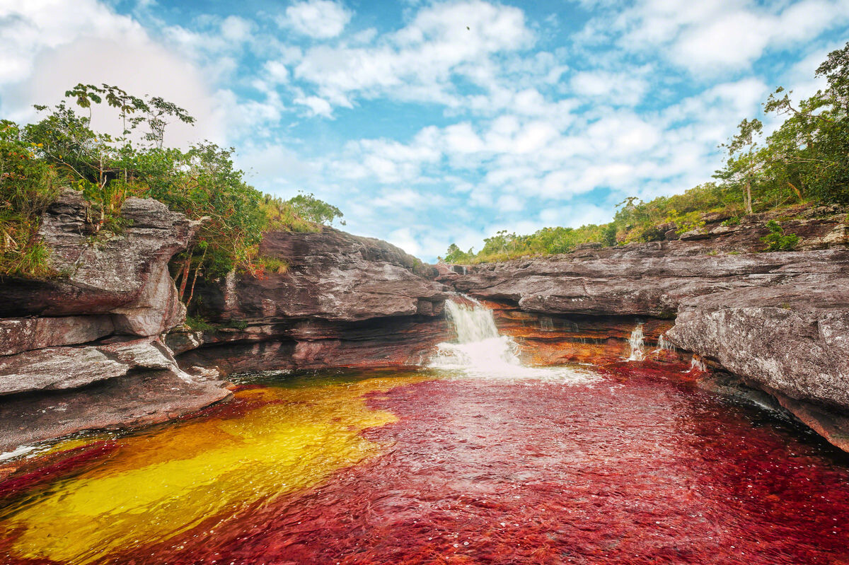 Caño Cristales . Mario Carvajal/CC BY-SA 4.0 