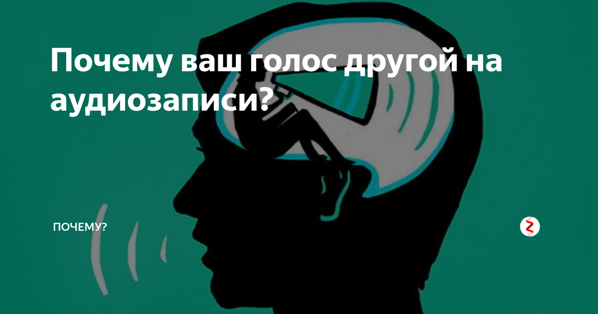 Человек слышит голоса в голове что это. Голоса в голове. Свой голос в голове. Почему у людей разные голоса.