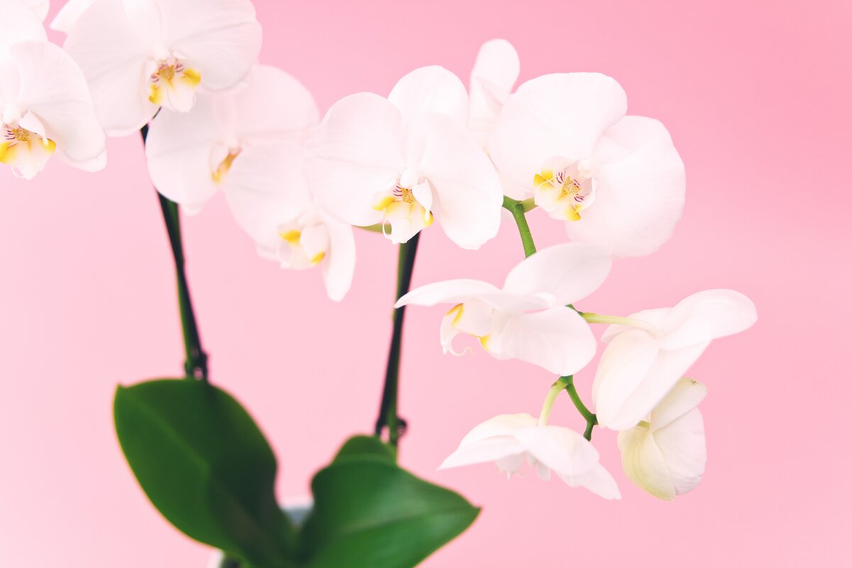 Photo by Claudia Nuta on Unsplash 