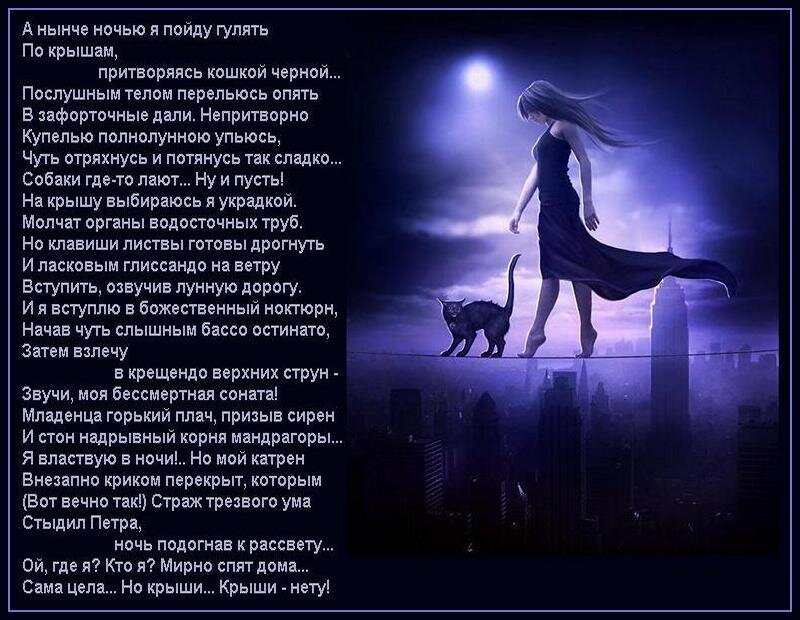 Может погуляем ночью хочешь сделай