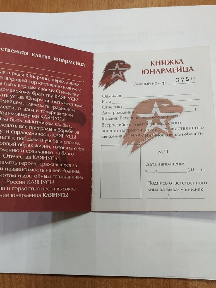 Образец заполнения юнармейской книжки