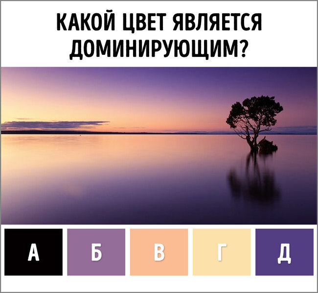 Изображение с сайта pixabay.com