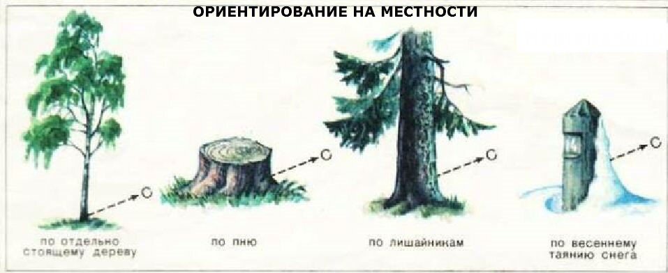 Ориентирование в лесу презентация