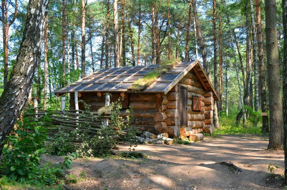 Фото взято на Яндекс-картинки