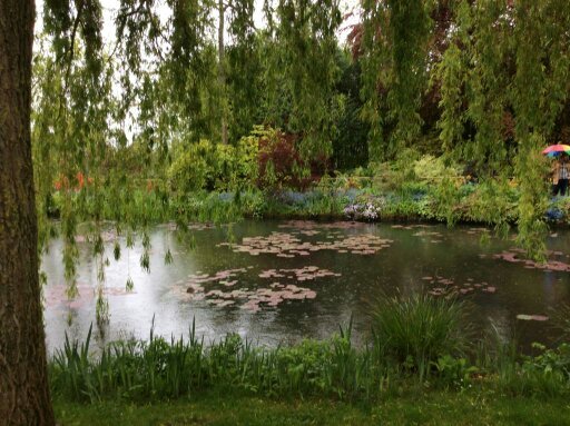 Сад Моне в Живерни -знаменитые кувшинки, изображенные на многих полотна художника