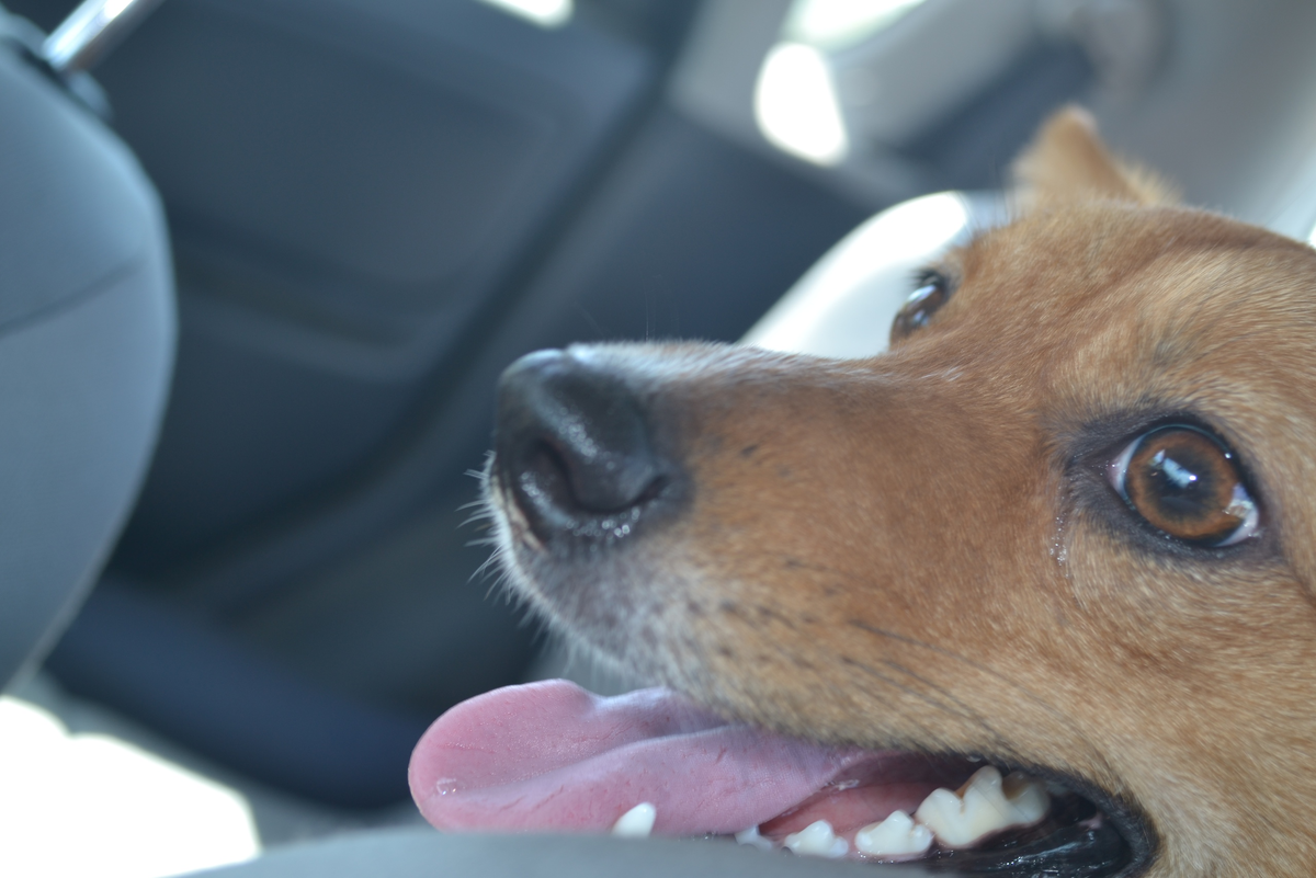 Это я в машине :)