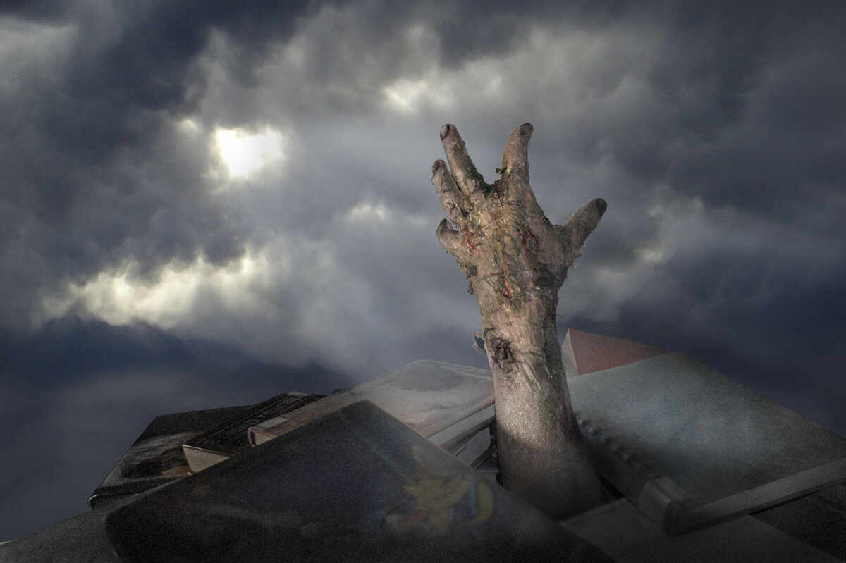 фото из интернета