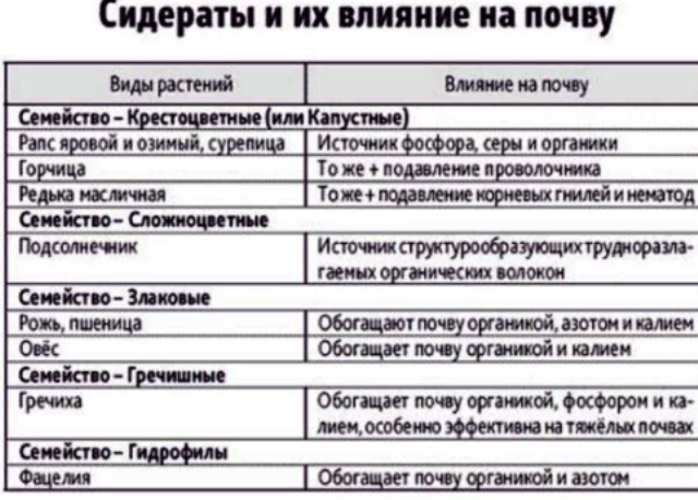 Какие сидераты сажать. Сидераты весной таблица. после каких культур сажать сидераты. какие сидераты под какие культуры сеять таблица. когда садить сидераты после картошки.