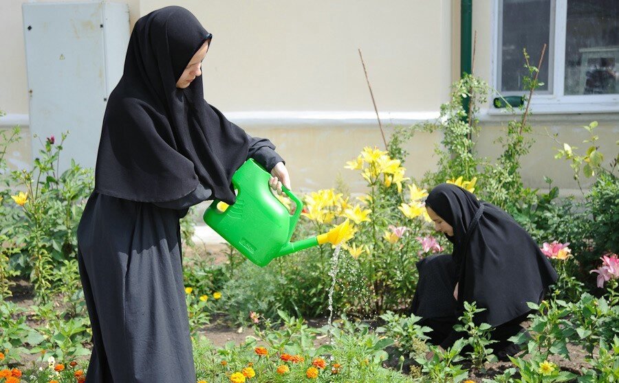 Иллюстрационное фото. Источник: Яндекс-картинки