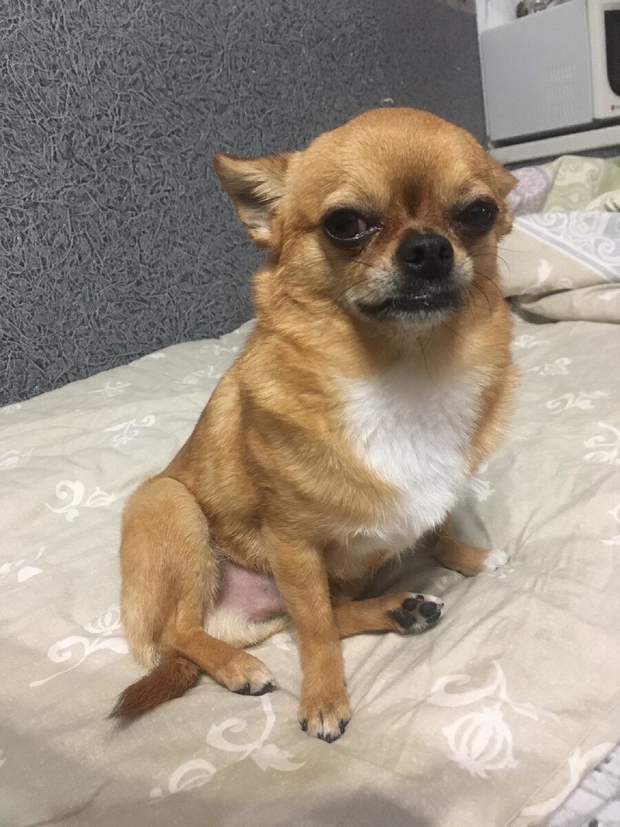 Дома я до 11 утра хожу голенькии и сонный