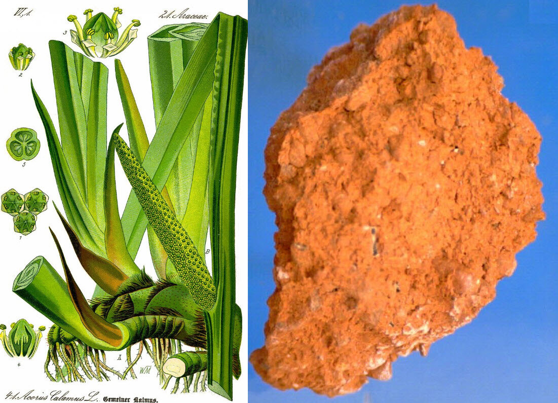 Ингридиенты для магического приручения собаки - Ирный корень и Красная (железная) охра