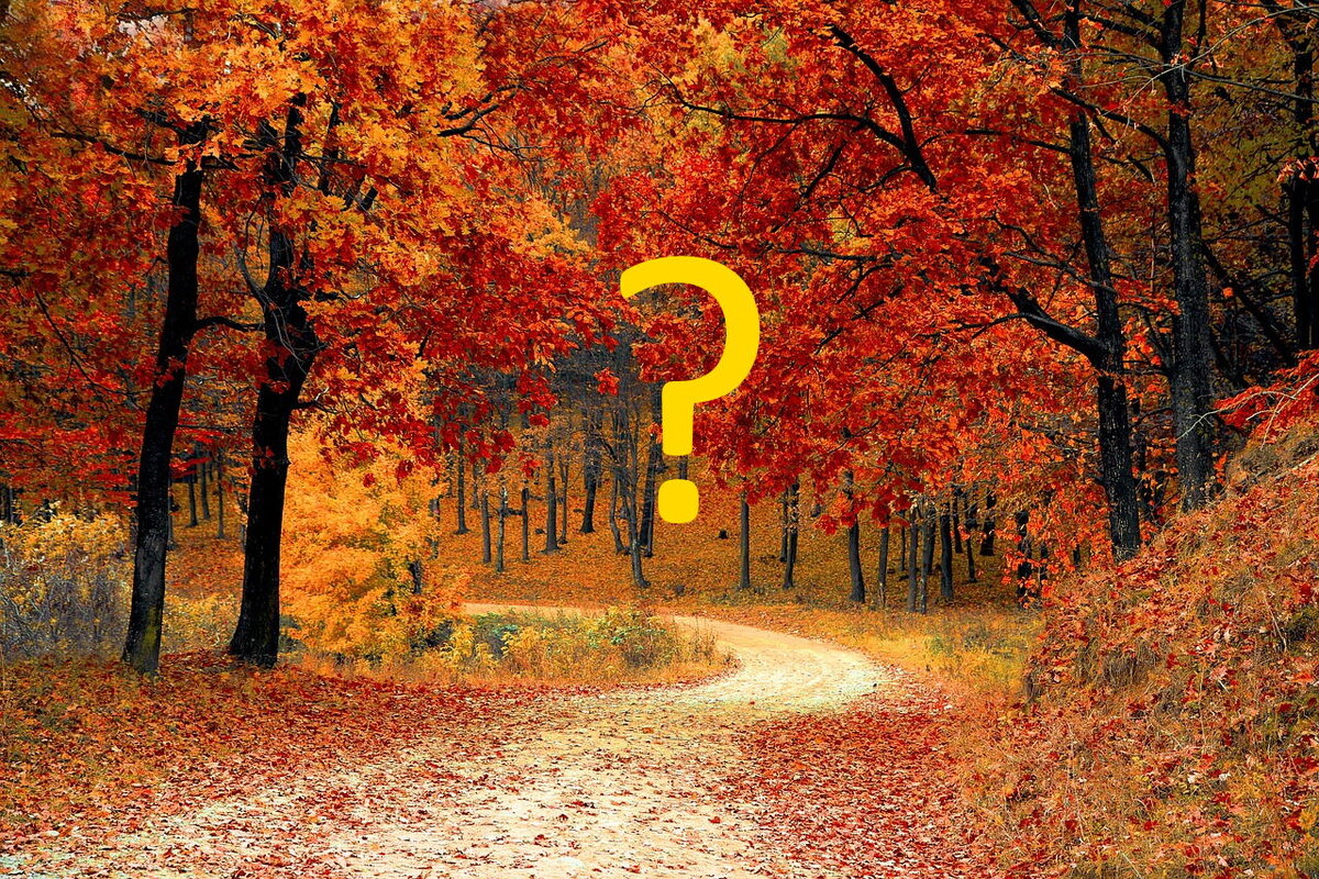 Фото осени для иллюстрации статьи