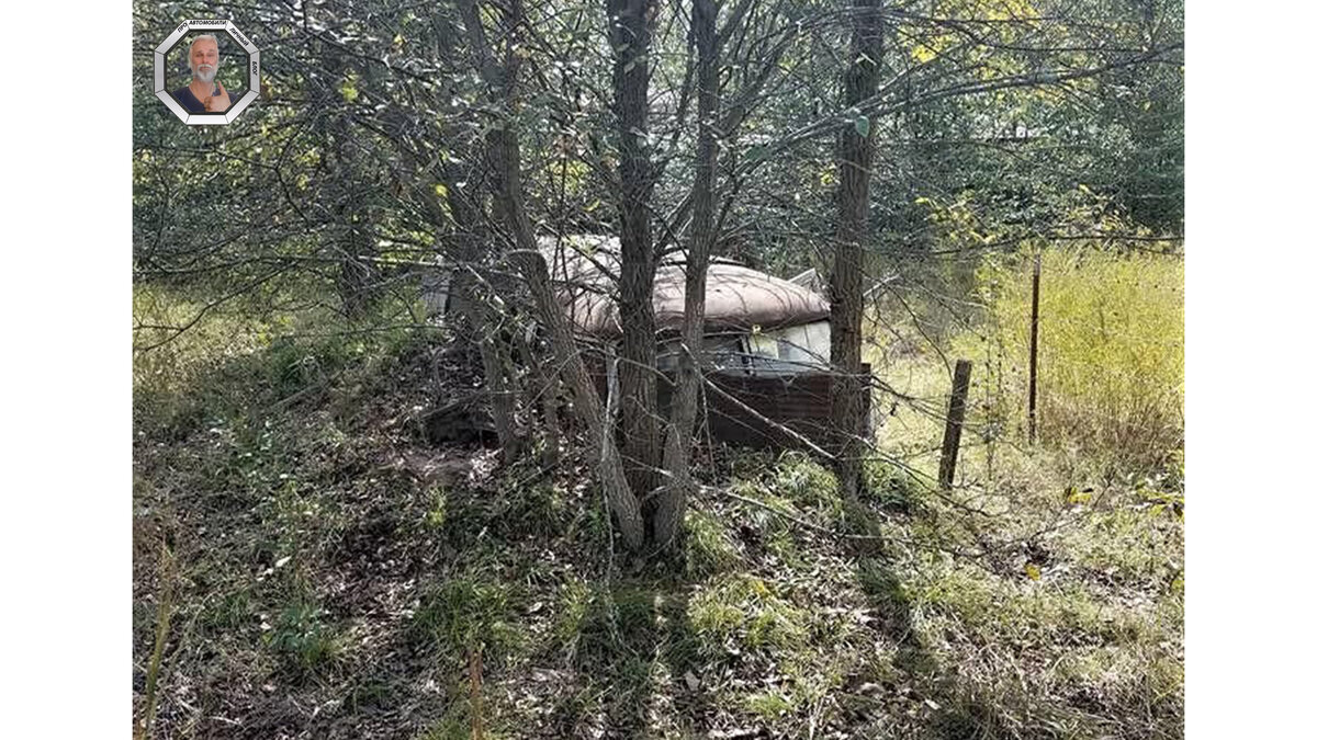 Фотография найденного в лесу автобуса.