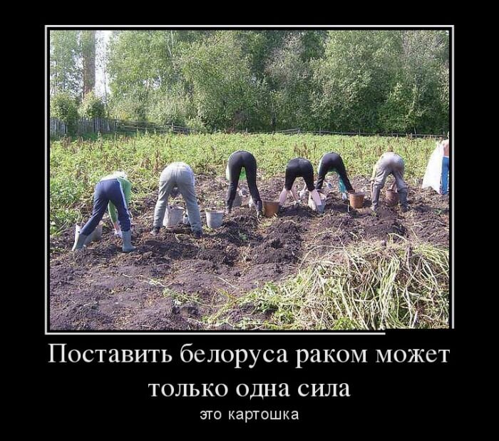 Источник: joksland.ru