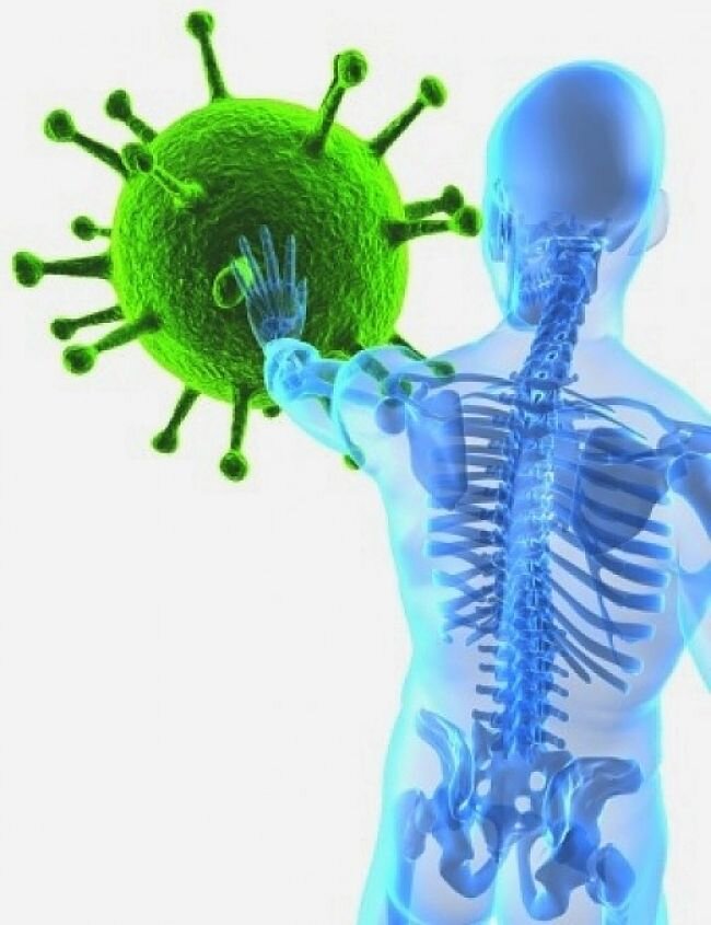 Яндекс. Картинки