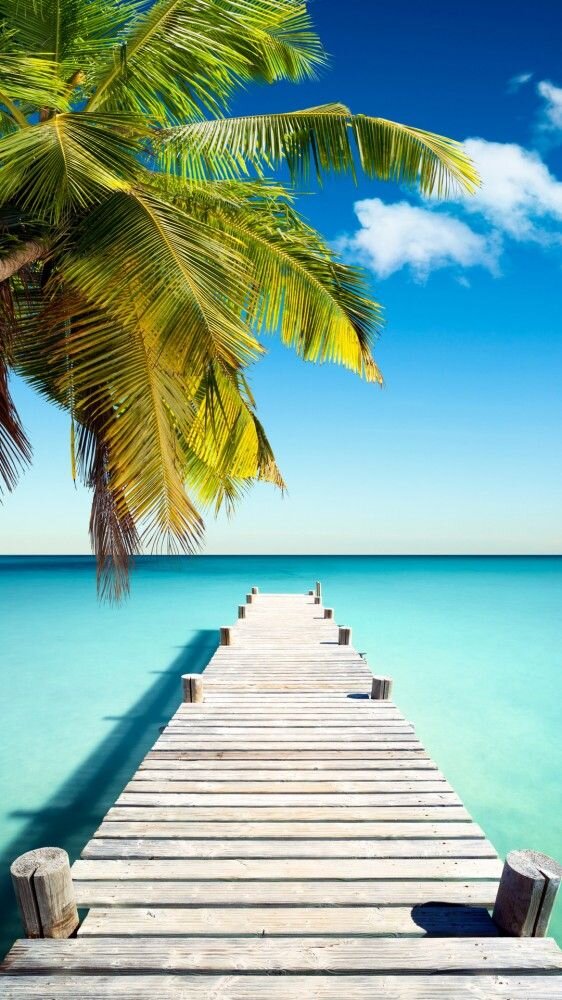 Собрались отдыхать