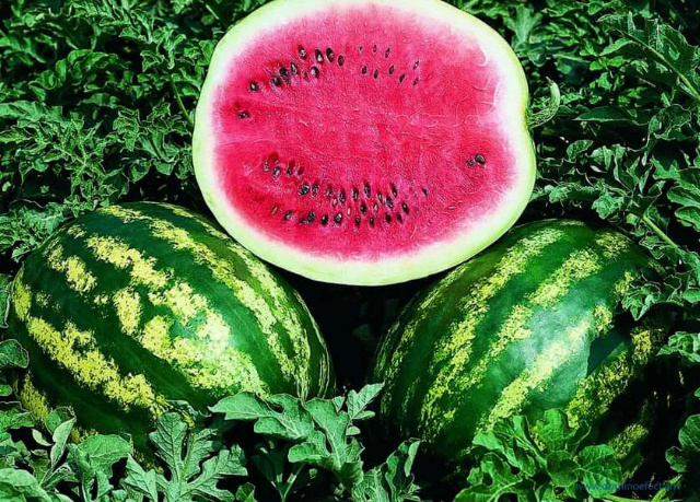 Кримсон Руби F1