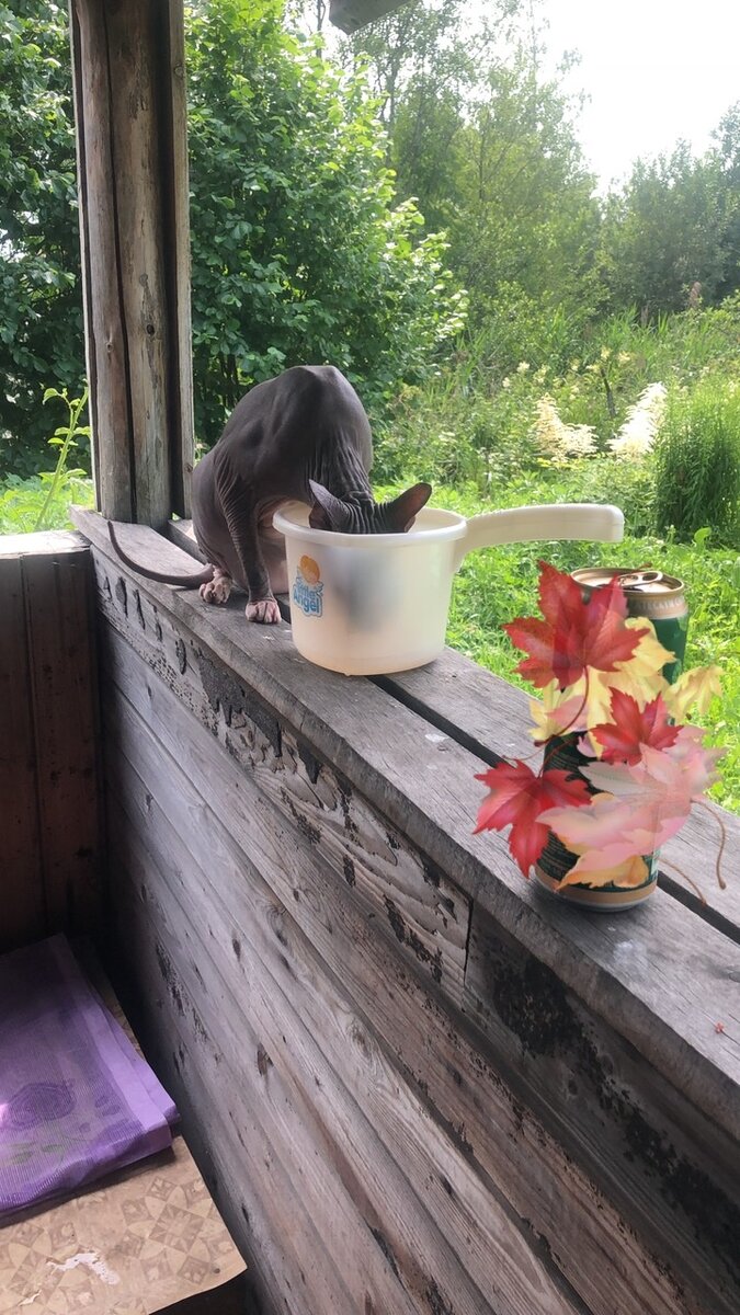 В дневные часы воздух прогревается свыше 30 градусов 