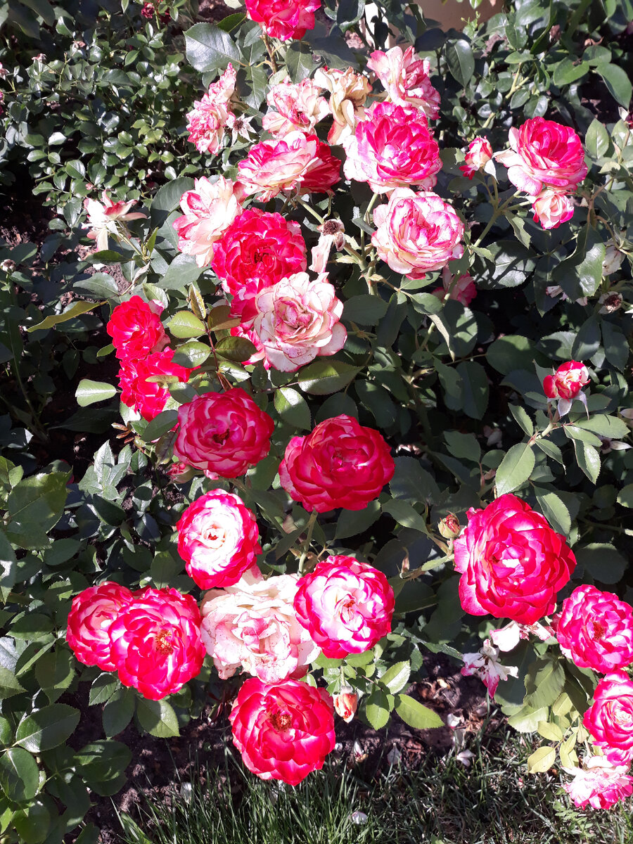 Вчерашняя прогулка