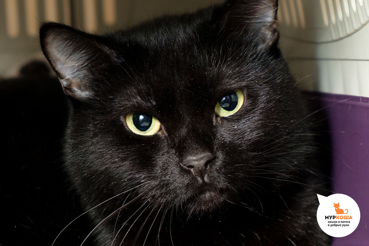 Тайна, 7 лет 