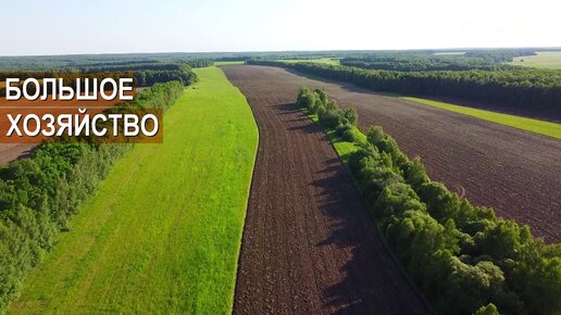 ВСПАШКА ПЕРЕД СЕВОМ ОЗИМОЙ ПШЕНИЦЫ. СПК Стрелецкий.