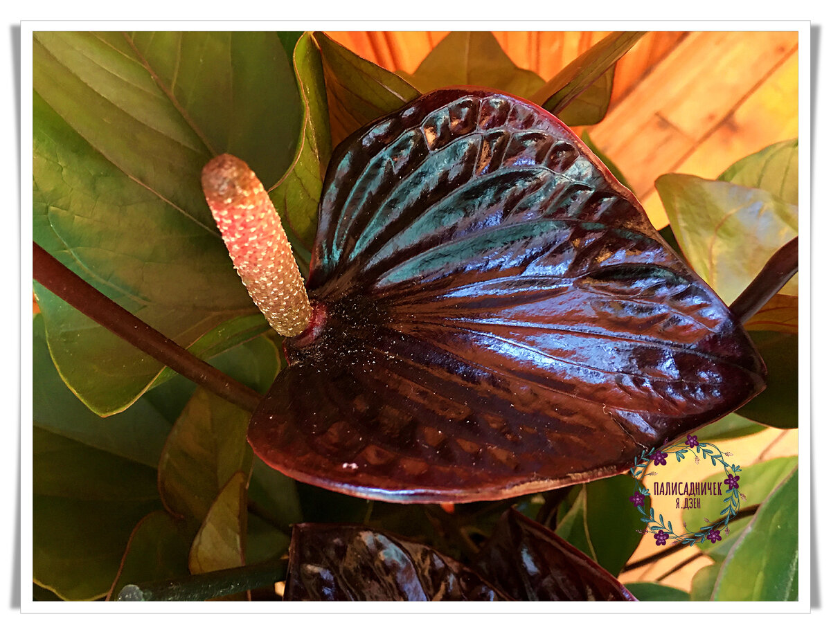 "Добро пожаловать!" раз. Листайте, пожалуйста. ⏩⏩